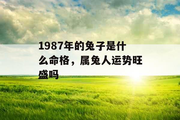1987年的兔子是什么命格，属兔人运势旺盛吗
