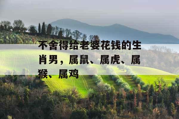 不舍得给老婆花钱的生肖男，属鼠、属虎、属猴、属鸡