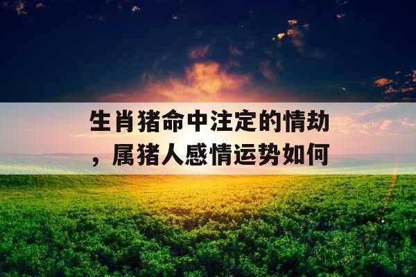 生肖猪命中注定的情劫，属猪人感情运势如何