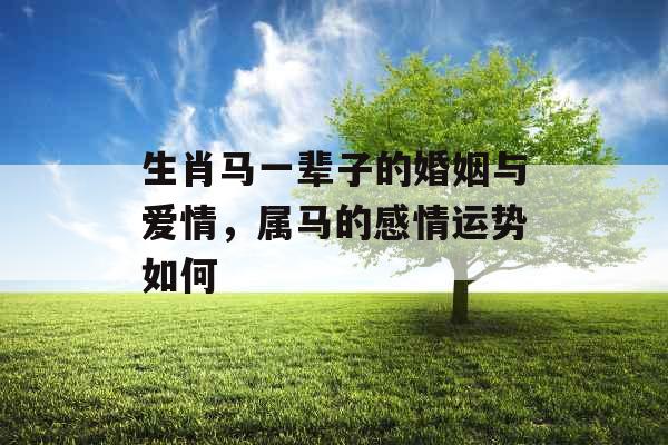 生肖马一辈子的婚姻与爱情，属马的感情运势如何