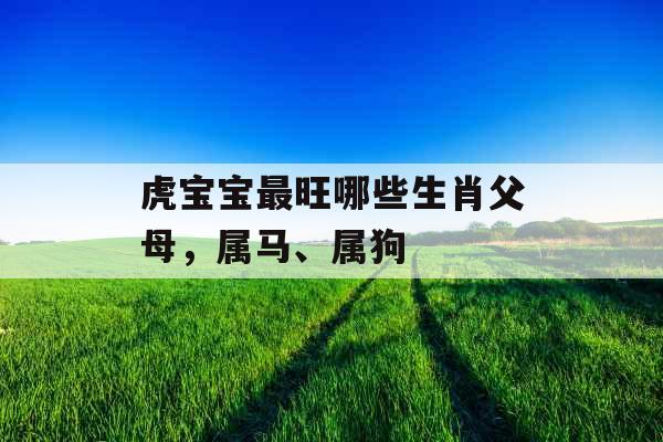 虎宝宝最旺哪些生肖父母，属马、属狗