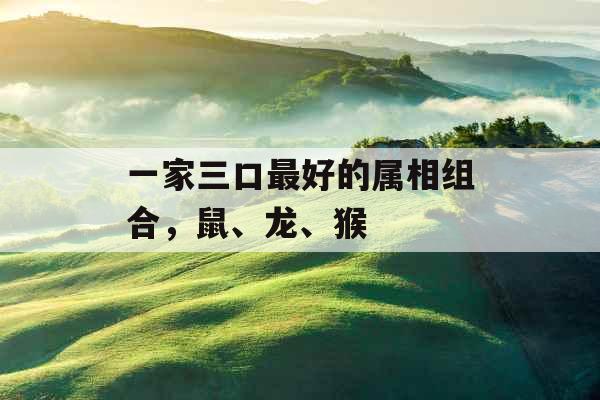 一家三口最好的属相组合，鼠、龙、猴