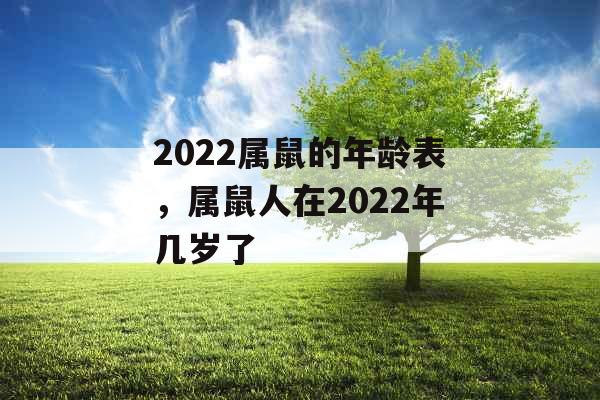 2022属鼠的年龄表，属鼠人在2022年几岁了