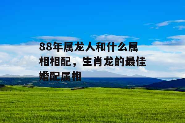 88年属龙人和什么属相相配，生肖龙的最佳婚配属相