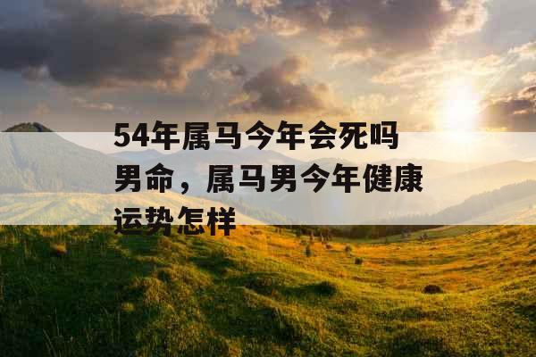 54年属马今年会死吗男命，属马男今年健康运势怎样