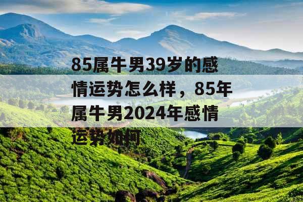 85属牛男39岁的感情运势怎么样，85年属牛男2024年感情运势如何