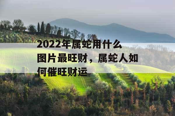2022年属蛇用什么图片最旺财,属蛇人如何催旺财运 2022年属蛇用什么图片最旺财,属蛇人如何催旺财运