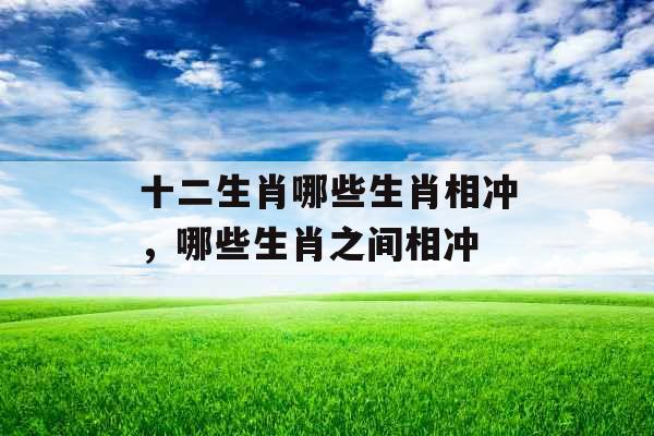 十二生肖哪些生肖相冲，哪些生肖之间相冲