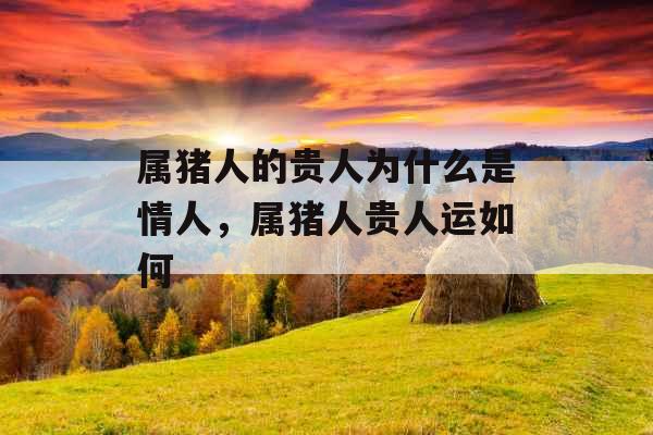 属猪人的贵人为什么是情人，属猪人贵人运如何