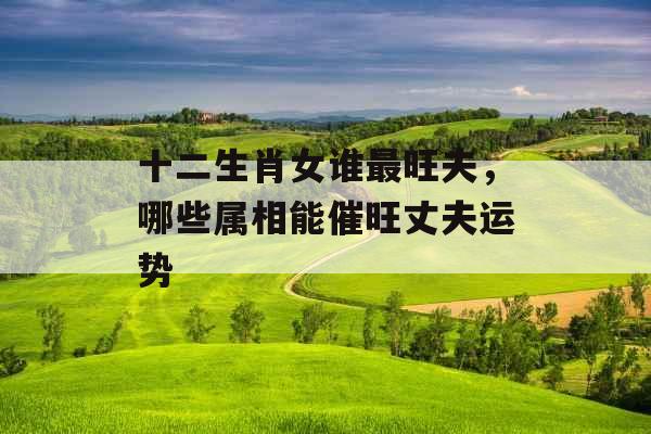 十二生肖女谁最旺夫，哪些属相能催旺丈夫运势