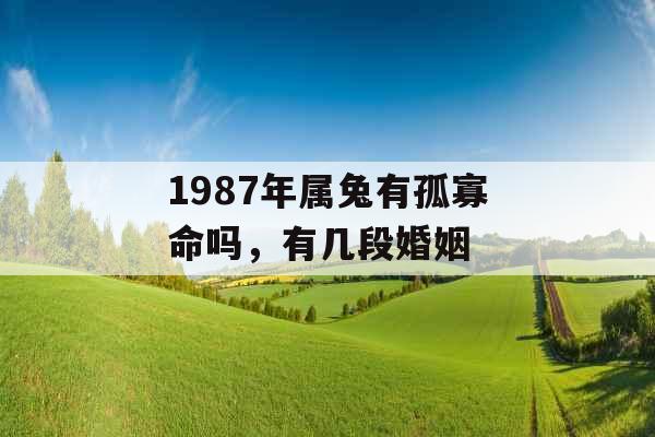 1987年属兔有孤寡命吗，有几段婚姻