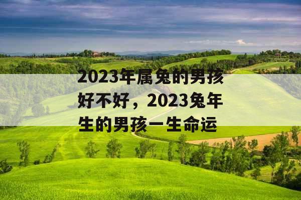 2023年属兔的男孩好不好，2023兔年生的男孩一生命运