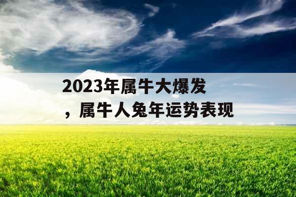 2023年属牛大爆发，属牛人兔年运势表现