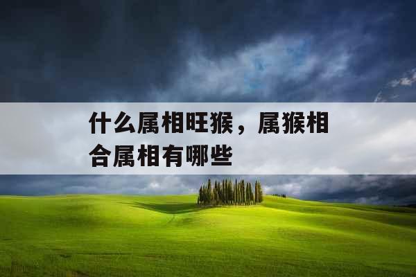什么属相旺猴，属猴相合属相有哪些
