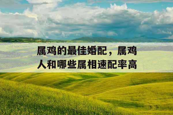 属鸡的最佳婚配，属鸡人和哪些属相速配率高