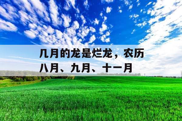 几月的龙是烂龙，农历八月、九月、十一月