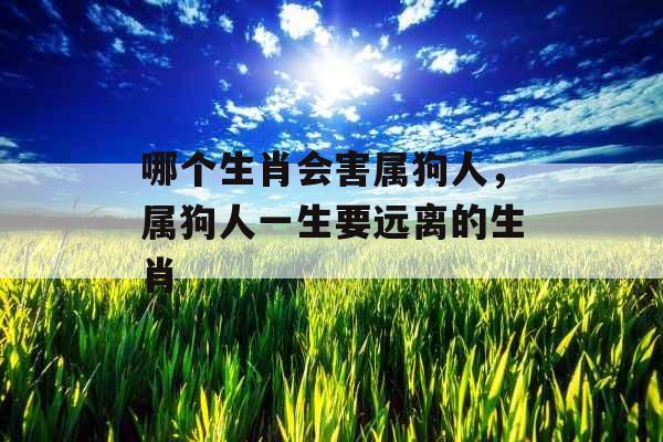 哪个生肖会害属狗人,属狗人一生要远离的生肖 哪个生肖会害属狗人,属狗人一生要远离的生肖