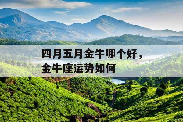四月五月金牛哪个好,金牛座运势如何 四月五月金牛哪个好,金牛座运势如何