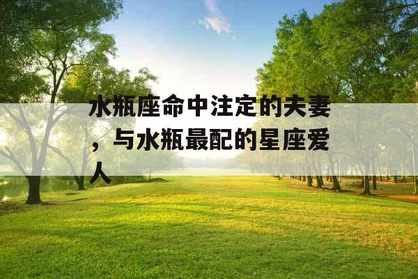 水瓶座命中注定的夫妻，与水瓶最配的星座爱人