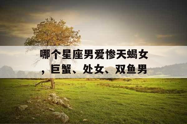 哪个星座男爱惨天蝎女，巨蟹、处女、双鱼男