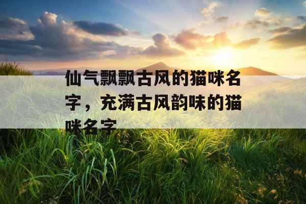 仙气飘飘古风的猫咪名字,充满古风韵味的猫咪名字 仙气飘飘古风的猫咪名字,充满古风韵味的猫咪名字
