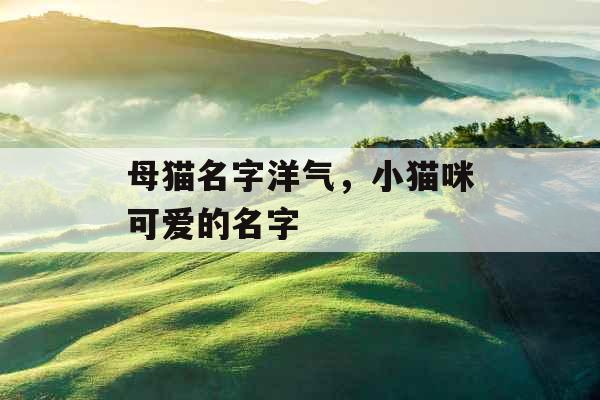 母猫名字洋气,小猫咪可爱的名字 母猫名字洋气,小猫咪可爱的名字
