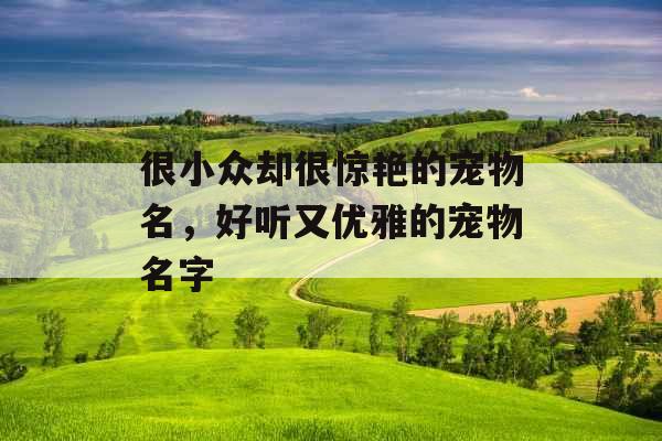 很小众却很惊艳的宠物名,好听又优雅的宠物名字 很小众却很惊艳的宠物名,好听又优雅的宠物名字