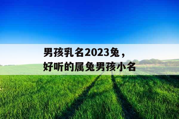 男孩乳名2023兔,好听的属兔男孩小名 男孩乳名2023兔,好听的属兔男孩小名