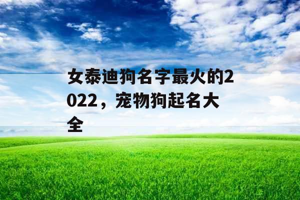 女泰迪狗名字最火的2022，宠物狗起名大全