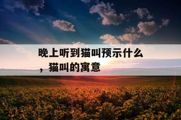 晚上听到猫叫预示什么,猫叫的寓意 晚上听到猫叫预示什么,猫叫的寓意
