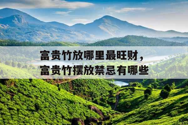 富贵竹放哪里最旺财，富贵竹摆放禁忌有哪些