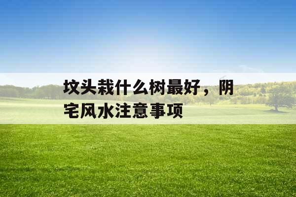 坟头栽什么树最好，阴宅风水注意事项