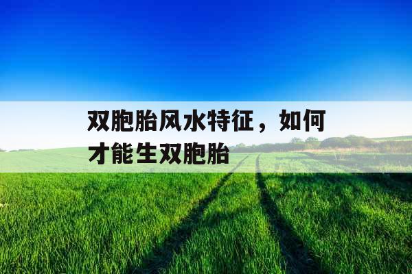 双胞胎风水特征，如何才能生双胞胎