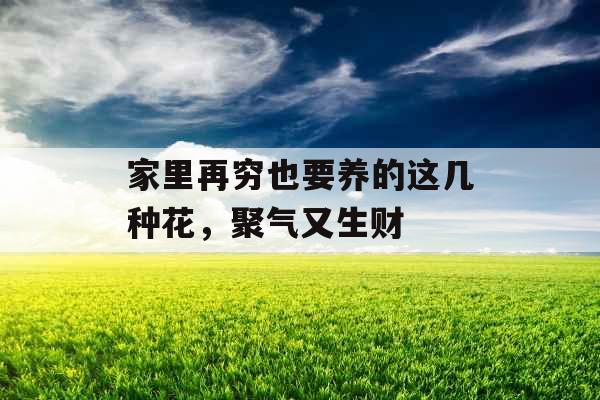 家里再穷也要养的这几种花，聚气又生财