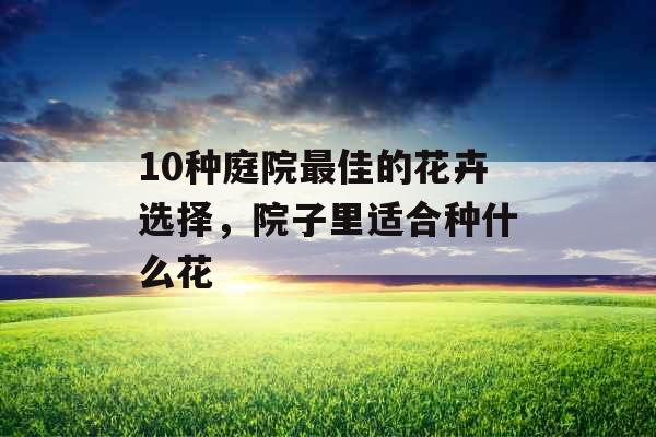 10种庭院最佳的花卉选择，院子里适合种什么花