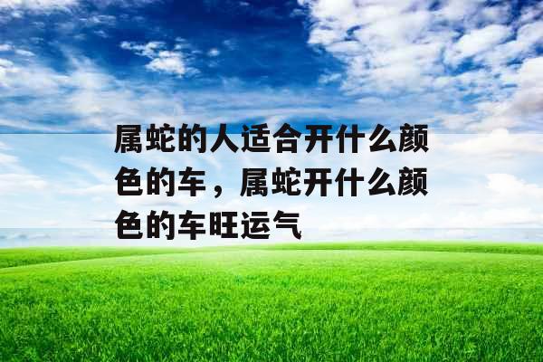 属蛇的人适合开什么颜色的车,属蛇开什么颜色的车旺运气 属蛇的人适合开什么颜色的车,属蛇开什么颜色的车旺运气