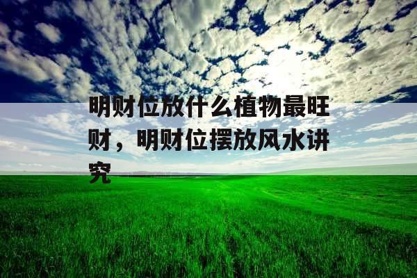 明财位放什么植物最旺财，明财位摆放风水讲究