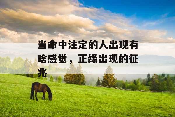 当命中注定的人出现有啥感觉，正缘出现的征兆