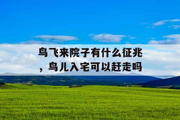 鸟飞来院子有什么征兆，鸟儿入宅可以赶走吗