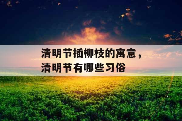 清明节插柳枝的寓意，清明节有哪些习俗