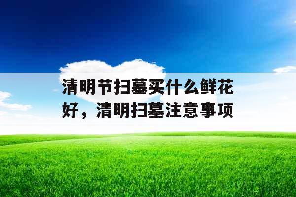 清明节扫墓买什么鲜花好，清明扫墓注意事项