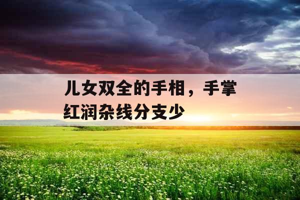儿女双全的手相,手掌红润杂线分支少 儿女双全的手相,手掌红润杂线分支少