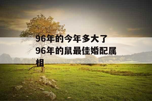 96年的今年多大了 96年的鼠最佳婚配属相