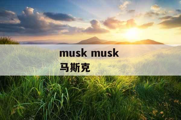 musk musk 马斯克