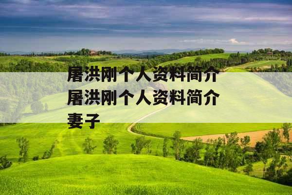 屠洪刚个人资料简介 屠洪刚个人资料简介 妻子