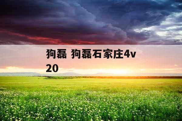 狗磊 狗磊石家庄4v20 狗磊 狗磊石家庄4v20
