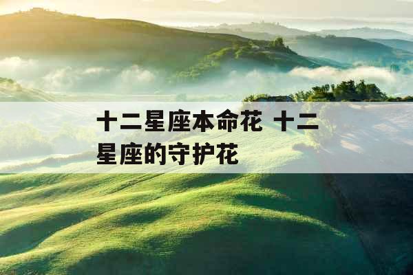十二星座本命花 十二星座的守护花