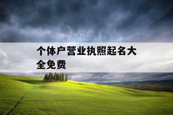 个体户营业执照起名大全免费