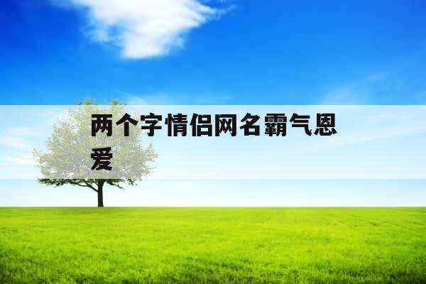 两个字情侣网名霸气恩爱