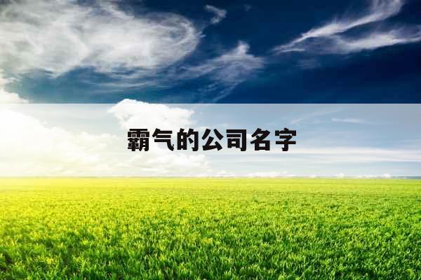 霸气的公司名字